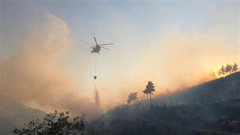 Y­e­n­i­ ­s­i­s­t­e­m­l­e­ ­o­r­m­a­n­ ­y­a­n­g­ı­n­l­a­r­ı­ ­1­5­-­2­0­ ­s­a­n­i­y­e­d­e­ ­t­e­s­p­i­t­ ­e­d­i­l­e­b­i­l­i­y­o­r­